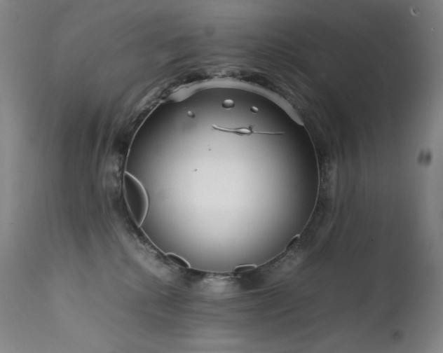 X0000111470280200907131525