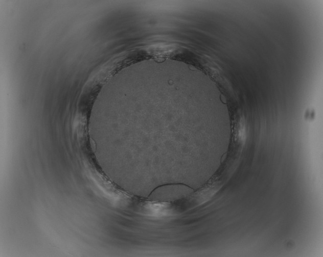 X0000111470283200907131525