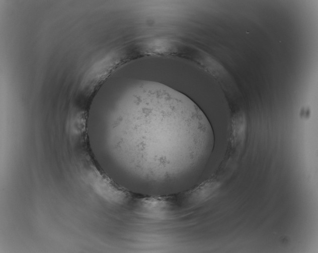 X0000111470284200907131525