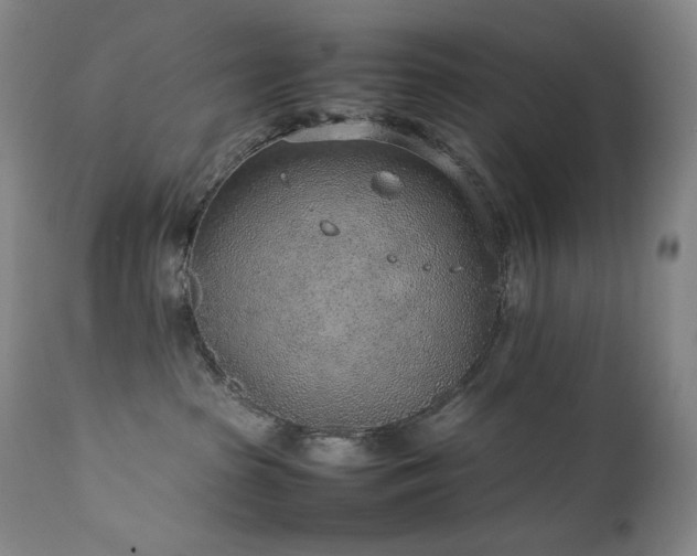 X0000111470285200907131525