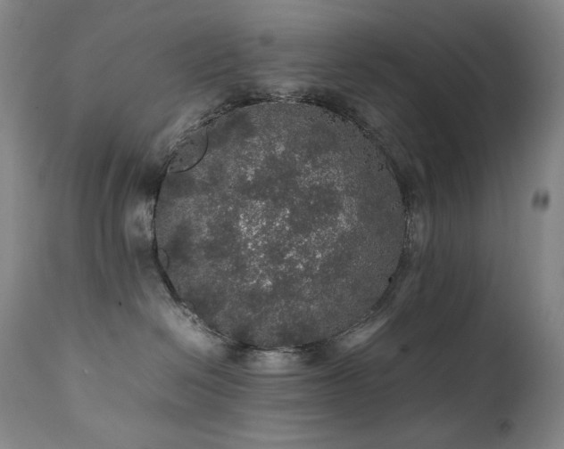 X0000111470286200907131525
