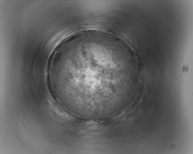 X0000111470290200907131525
