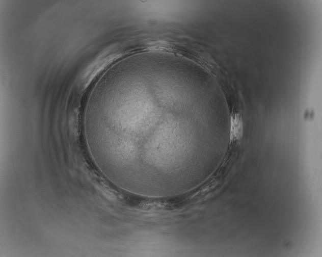 X0000111470291200907131525