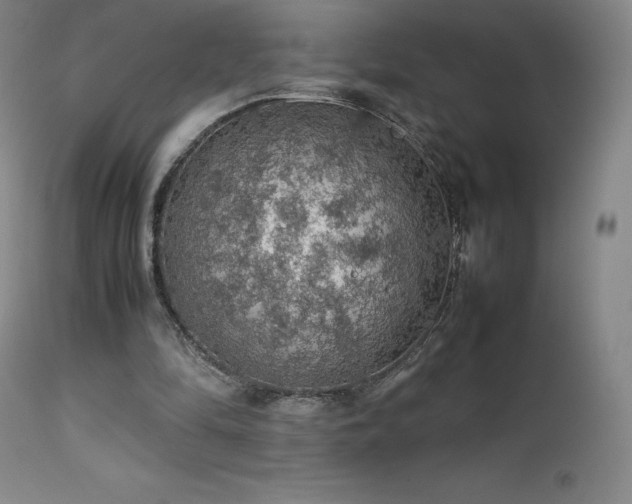 X0000111470294200907131525