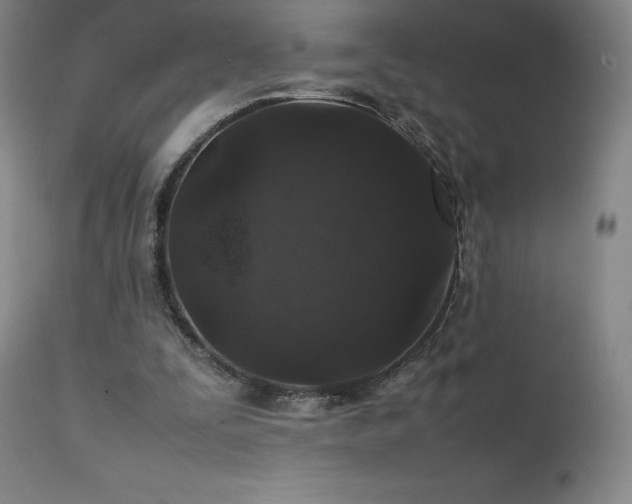 X0000111470295200907131524