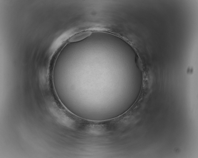 X0000111470296200907131524