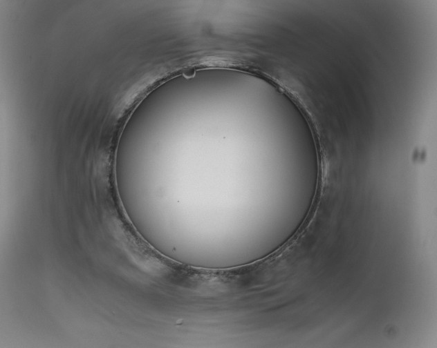 X0000111470297200907131524