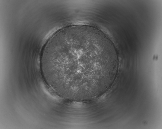X0000111470298200907131524
