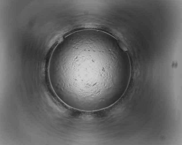 X0000111470299200907131524