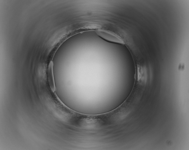 X0000111470300200907131524
