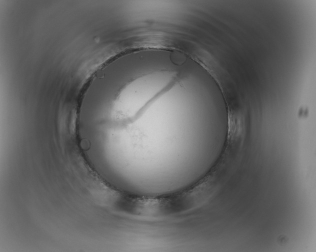 X0000111470301200907131524