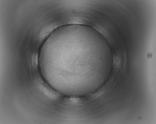 X0000111470302200907131524