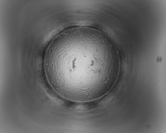 X0000111470303200907131524