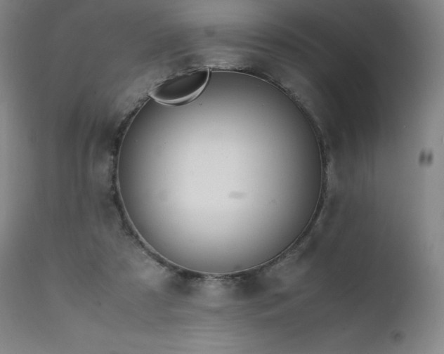 X0000111470305200907131524