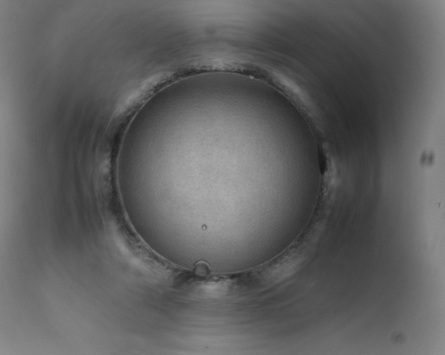 X0000111470306200907131524