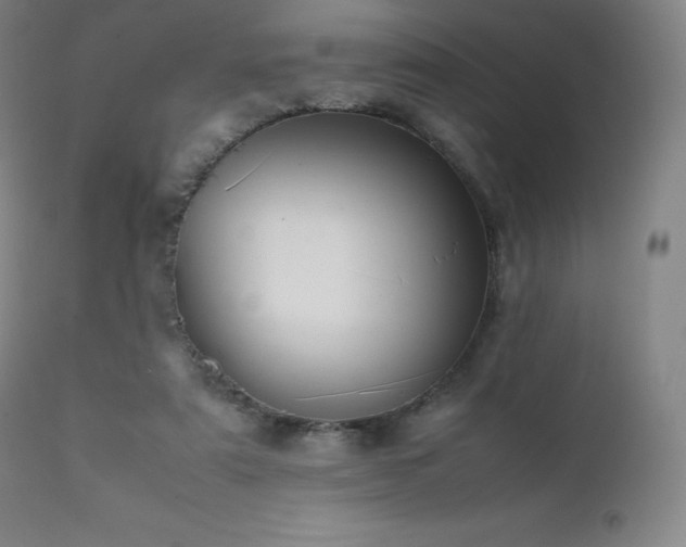 X0000111470307200907131524