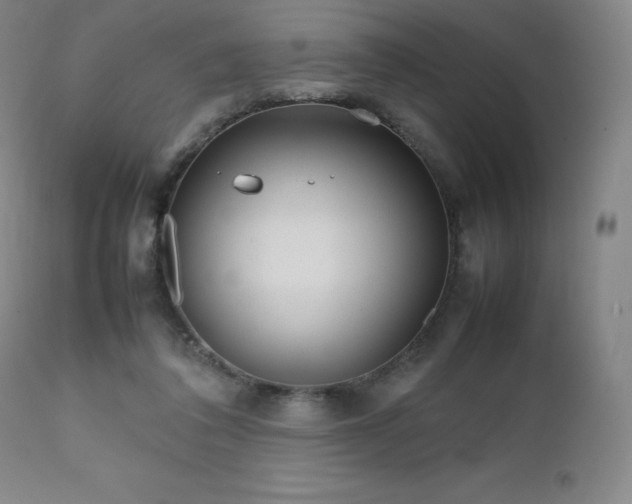 X0000111470308200907131524