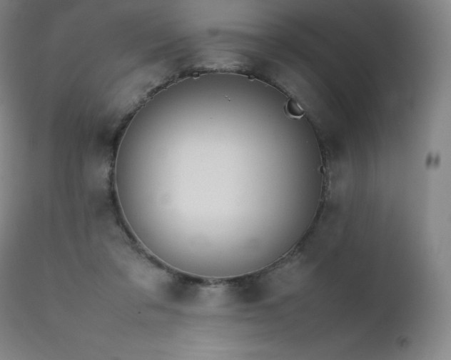 X0000111470309200907131524