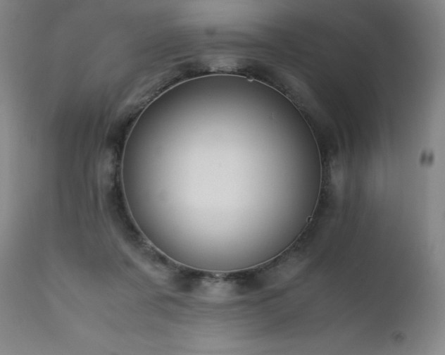 X0000111470311200907131524
