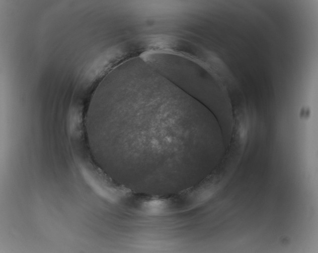 X0000111470312200907131524