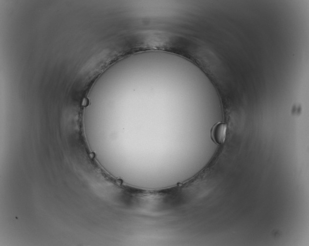 X0000111470313200907131524