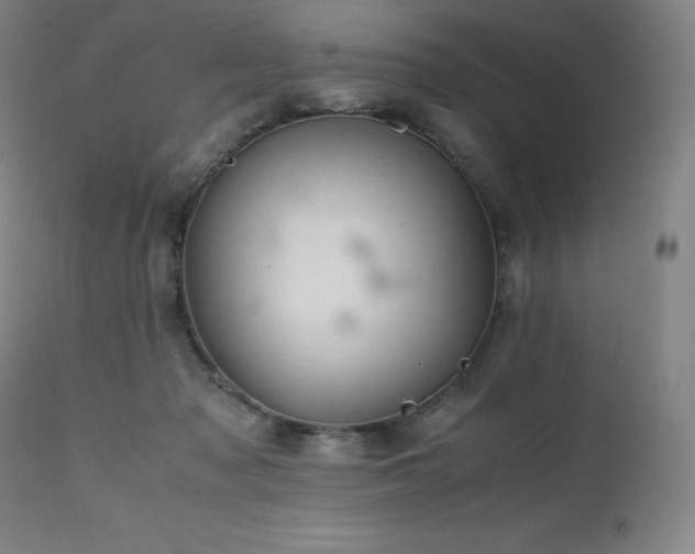 X0000111470317200907131524