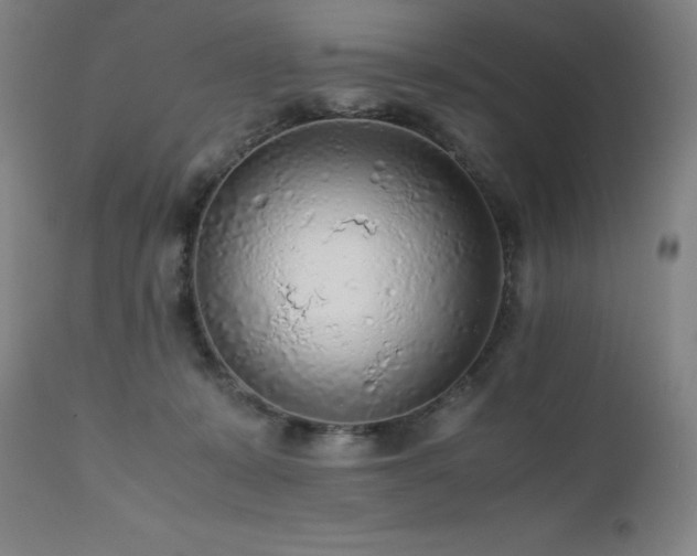X0000111470319200907131524