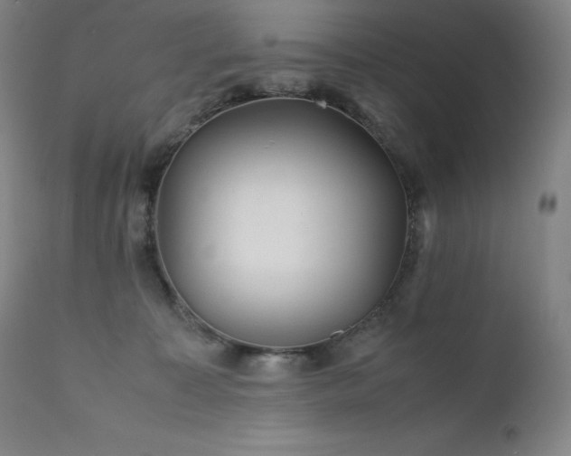 X0000111470323200907131524