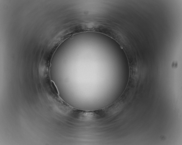 X0000111470324200907131524