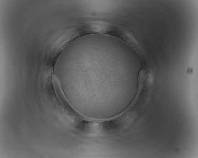 X0000111470325200907131524