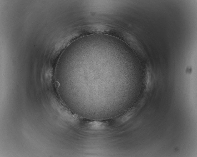 X0000111470326200907131524