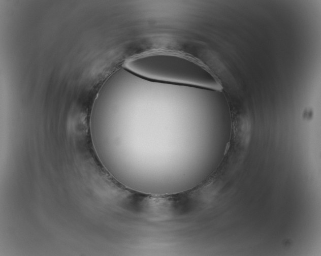 X0000111470327200907131524
