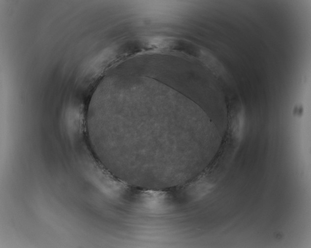 X0000111470328200907131524