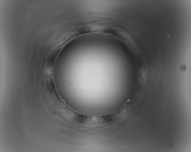 X0000111470329200907131524