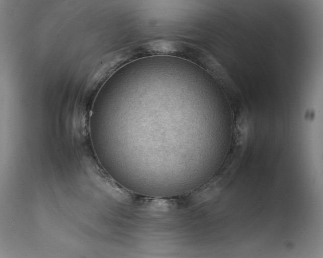 X0000111470330200907131524