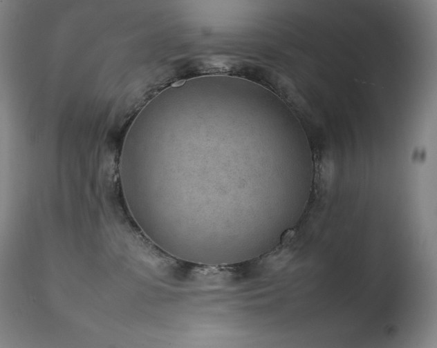 X0000111470331200907131524