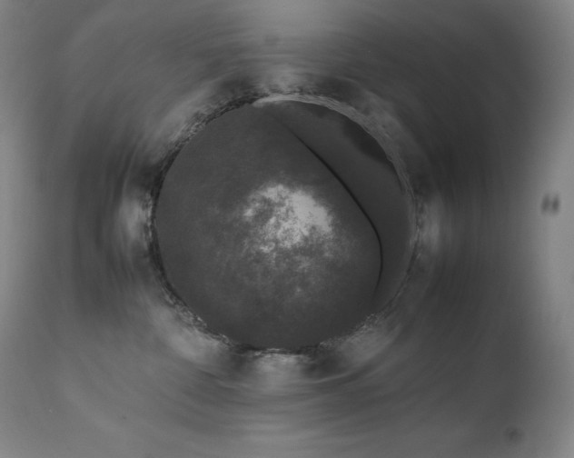 X0000111470332200907131524