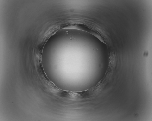 X0000111470333200907131524