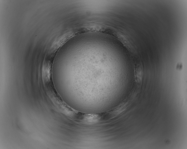 X0000111470334200907131524