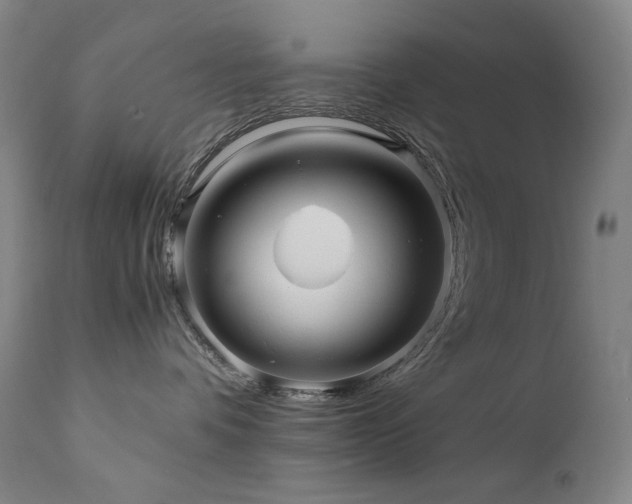 X0000111470336200907131524