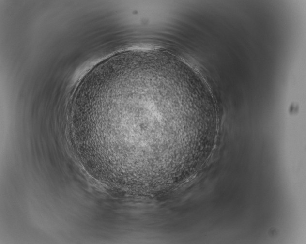 X0000111470337200907131523
