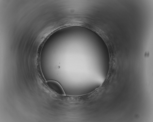X0000111470338200907131523