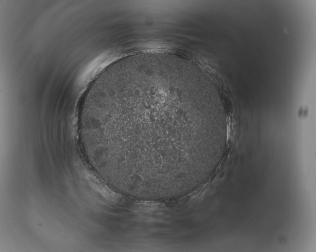 X0000111470339200907131523