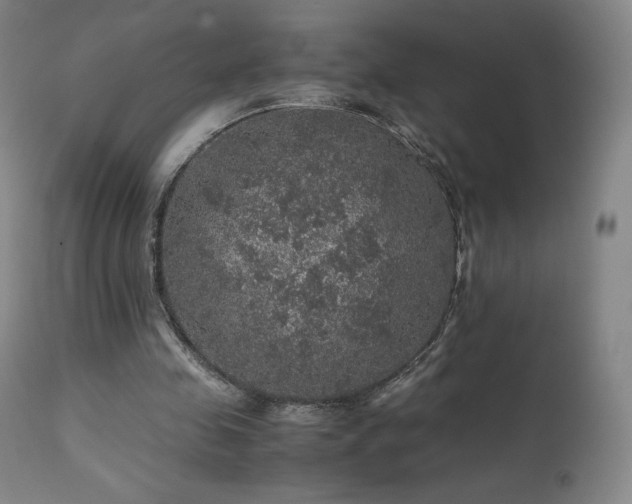 X0000111470341200907131523