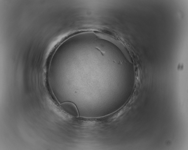 X0000111470342200907131523