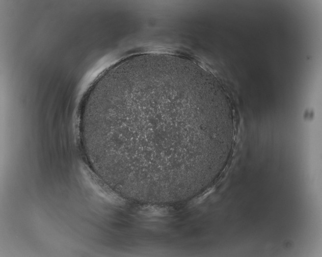 X0000111470343200907131523