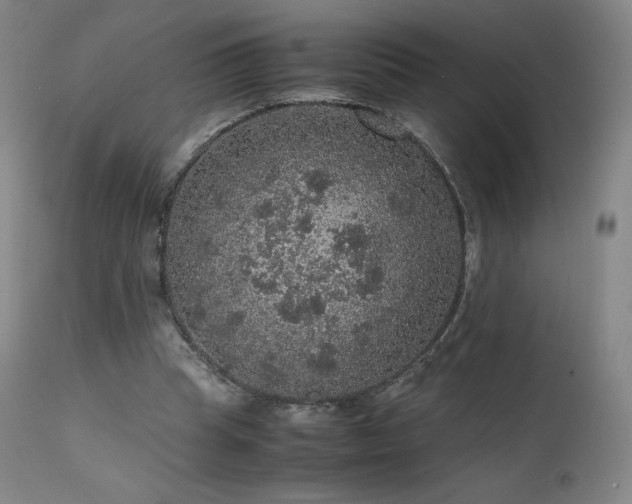 X0000111470345200907131523