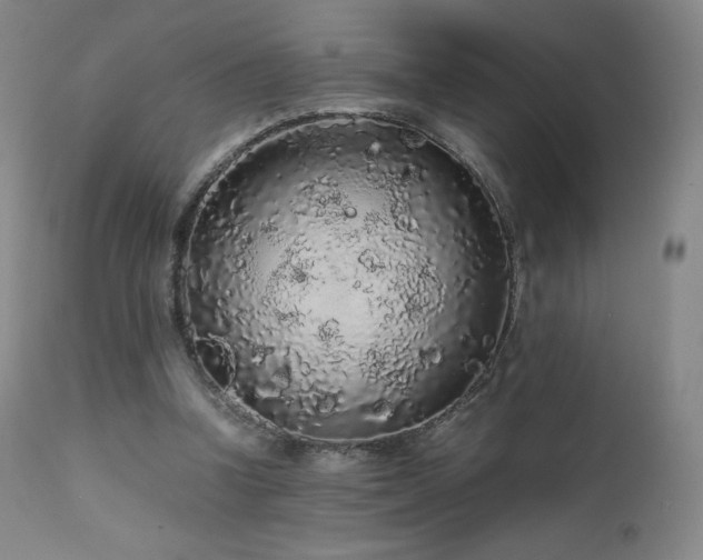 X0000111470346200907131523