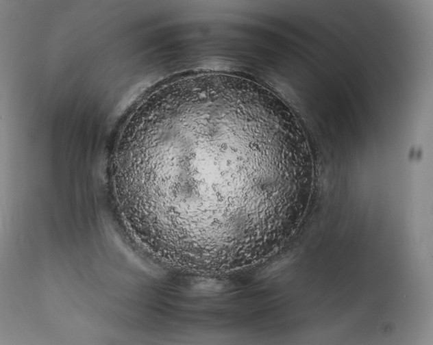 X0000111470347200907131523