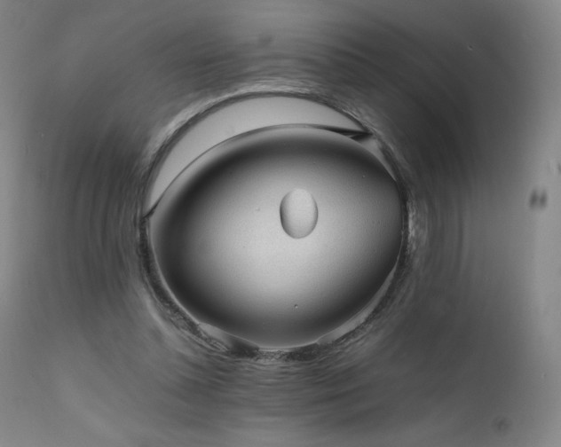 X0000111470348200907131523